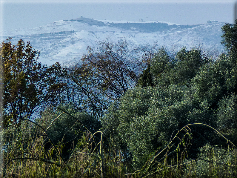 foto Colli Asolani